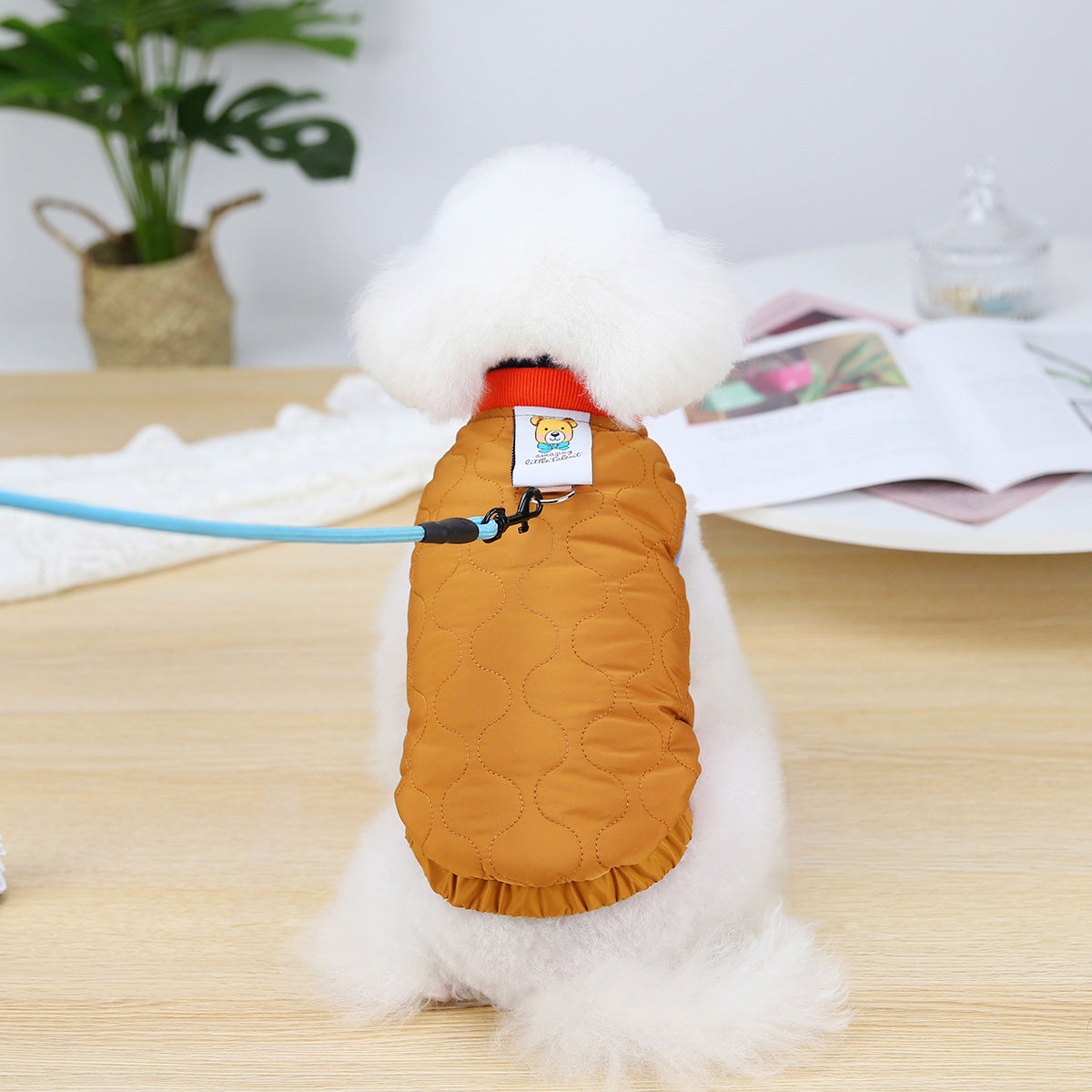 Puppy Velvet Vest for Autumn and Winter Dog Clothing