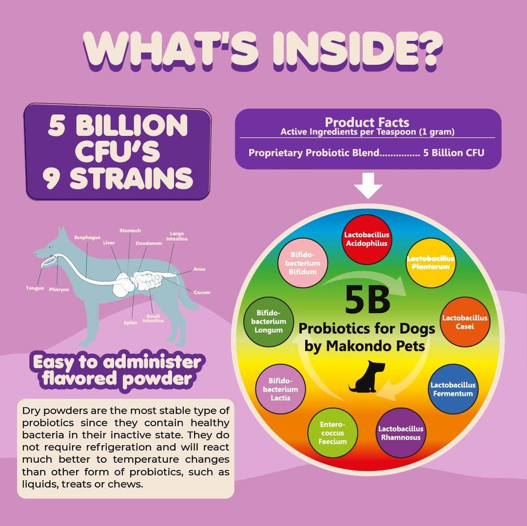 Probiotics for Dogs Puppies Extra Strength 9 Species 5 Billion CFU per Scoop of